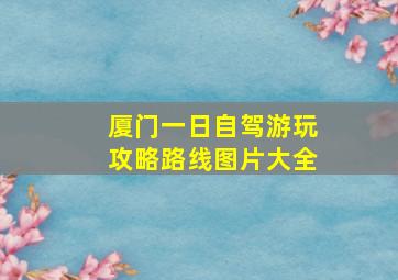 厦门一日自驾游玩攻略路线图片大全