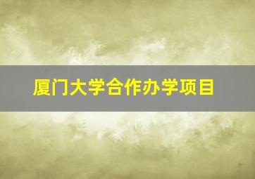 厦门大学合作办学项目