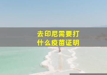 去印尼需要打什么疫苗证明