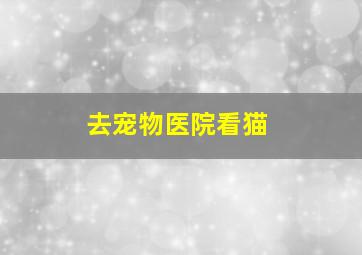 去宠物医院看猫