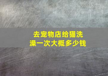 去宠物店给猫洗澡一次大概多少钱