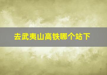 去武夷山高铁哪个站下