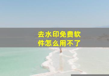 去水印免费软件怎么用不了