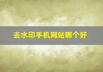 去水印手机网站哪个好