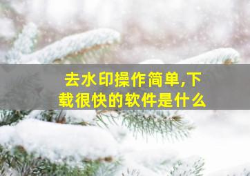 去水印操作简单,下载很快的软件是什么