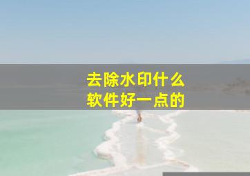 去除水印什么软件好一点的