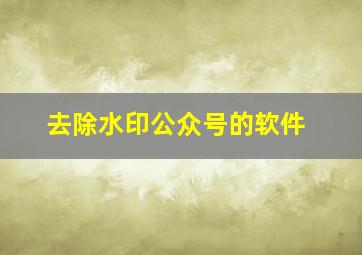 去除水印公众号的软件