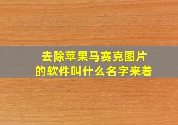 去除苹果马赛克图片的软件叫什么名字来着