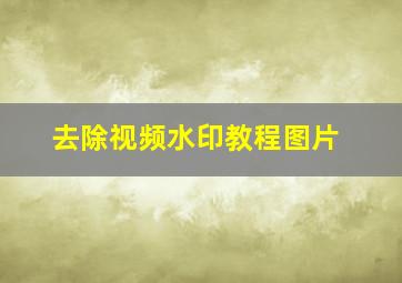 去除视频水印教程图片