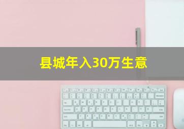 县城年入30万生意