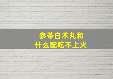 参苓白术丸和什么配吃不上火