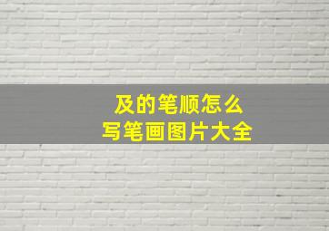 及的笔顺怎么写笔画图片大全