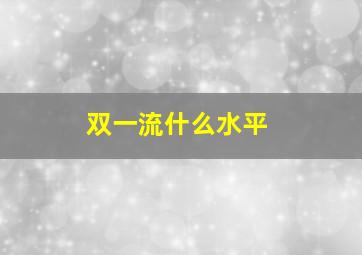 双一流什么水平