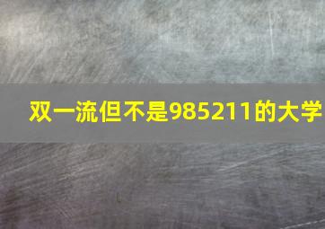 双一流但不是985211的大学