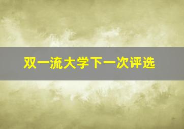 双一流大学下一次评选