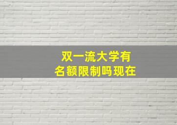 双一流大学有名额限制吗现在