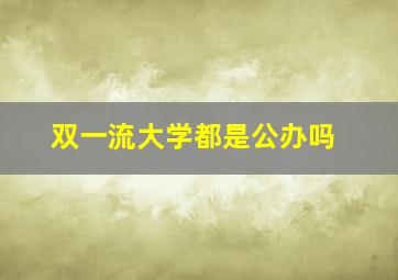 双一流大学都是公办吗