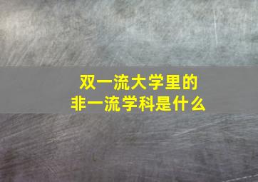 双一流大学里的非一流学科是什么