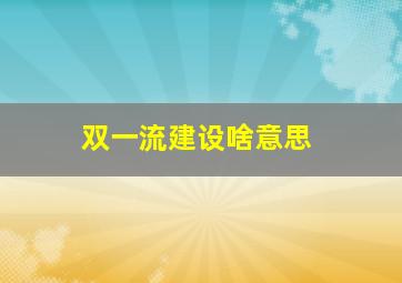 双一流建设啥意思