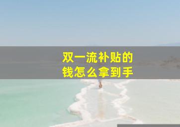 双一流补贴的钱怎么拿到手