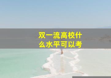 双一流高校什么水平可以考