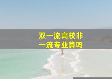 双一流高校非一流专业算吗