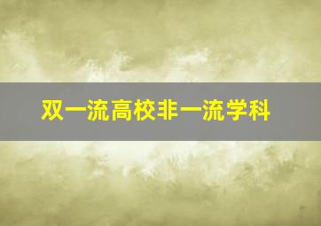 双一流高校非一流学科