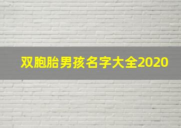 双胞胎男孩名字大全2020