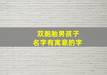 双胞胎男孩子名字有寓意的字