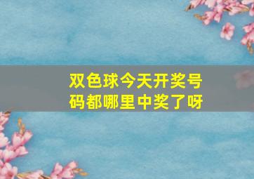 双色球今天开奖号码都哪里中奖了呀