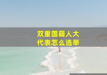 双重国籍人大代表怎么选举