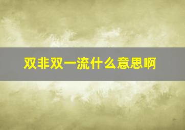 双非双一流什么意思啊