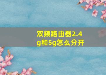 双频路由器2.4g和5g怎么分开