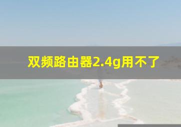 双频路由器2.4g用不了