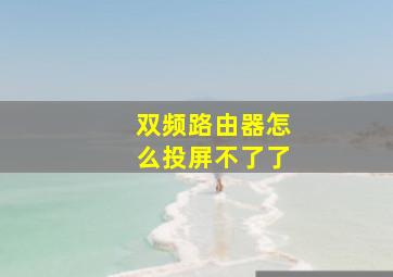 双频路由器怎么投屏不了了