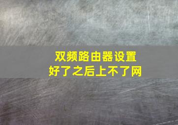 双频路由器设置好了之后上不了网