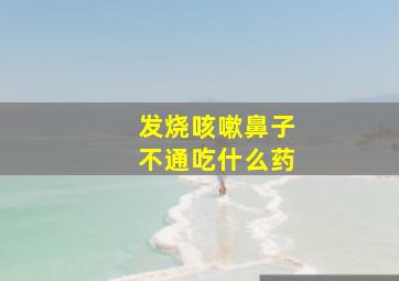 发烧咳嗽鼻子不通吃什么药