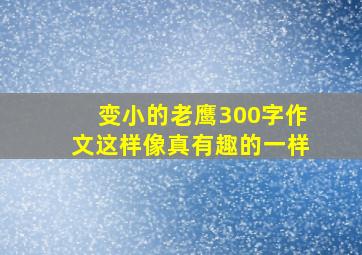 变小的老鹰300字作文这样像真有趣的一样