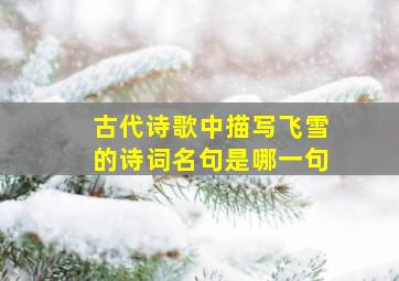 古代诗歌中描写飞雪的诗词名句是哪一句