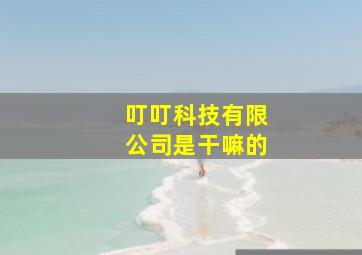 叮叮科技有限公司是干嘛的