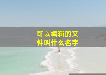 可以编辑的文件叫什么名字