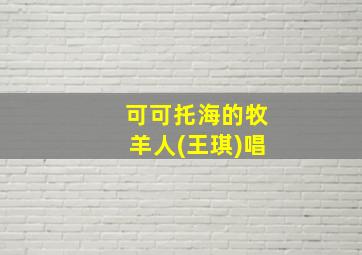 可可托海的牧羊人(王琪)唱