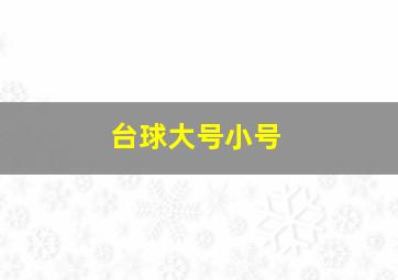 台球大号小号