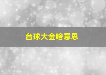 台球大金啥意思