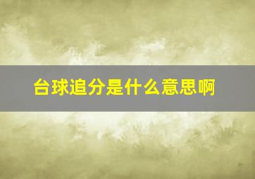 台球追分是什么意思啊