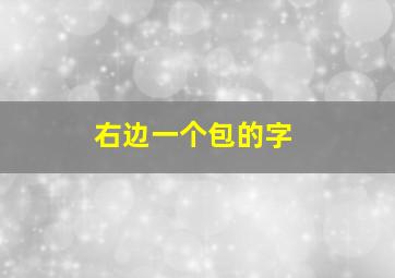 右边一个包的字