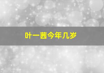 叶一茜今年几岁