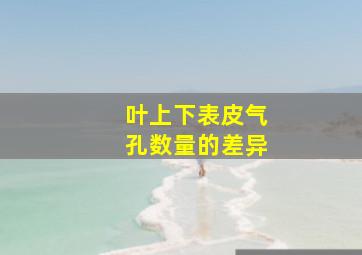 叶上下表皮气孔数量的差异