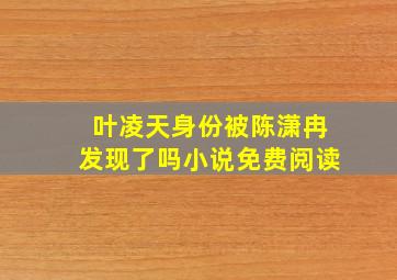 叶凌天身份被陈潇冉发现了吗小说免费阅读