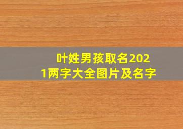 叶姓男孩取名2021两字大全图片及名字